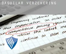 D’Aguilar  verzekering