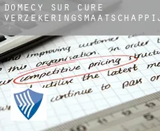 Domecy-sur-Cure verzekeringsmaatschappij