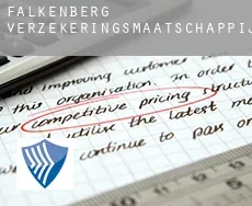 Falkenberg  verzekeringsmaatschappij