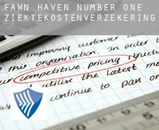 Fawn Haven Number One  ziektekostenverzekering
