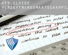 Groß Ilsede  verzekeringsmaatschappij