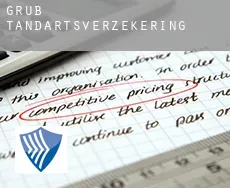 Grub  tandartsverzekering