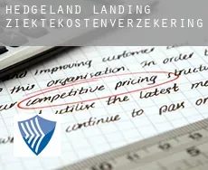 Hedgeland Landing  ziektekostenverzekering