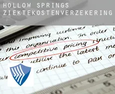 Hollow Springs  ziektekostenverzekering