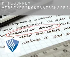 K Flourney  verzekeringsmaatschappij