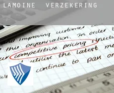 Lamoine  verzekering