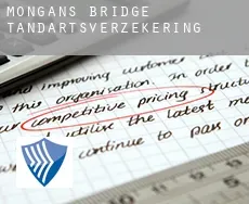 Mongans Bridge  tandartsverzekering