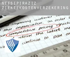 Piraziz  ziektekostenverzekering