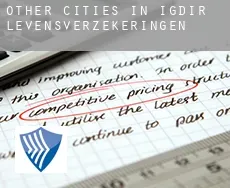 Other cities in Igdir  levensverzekeringen