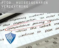 Pico  huiseigenaren verzekering