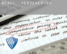 Quail  verzekering