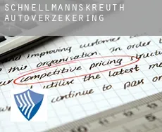 Schnellmannskreuth  autoverzekering