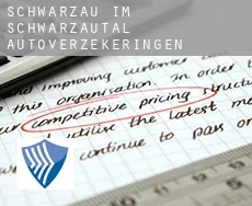 Schwarzau im Schwarzautal autoverzekeringen