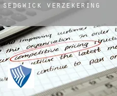 Sedgwick verzekering