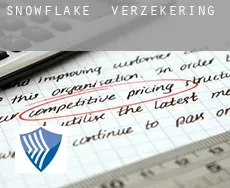 Snowflake verzekering