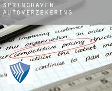 Springhaven  autoverzekering