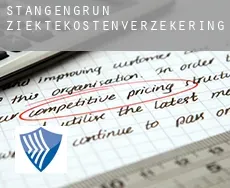 Stangengrün  ziektekostenverzekering