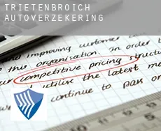 Trietenbroich  autoverzekering