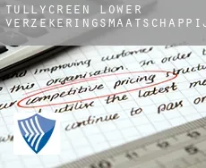 Tullycreen Lower  verzekeringsmaatschappij