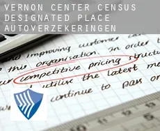 Vernon Center  autoverzekeringen