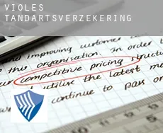 Violès  tandartsverzekering