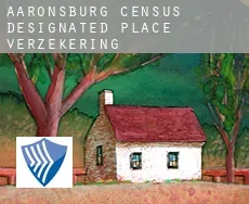 Aaronsburg verzekering