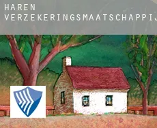 Haren  verzekeringsmaatschappij