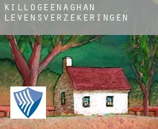 Killogeenaghan  levensverzekeringen