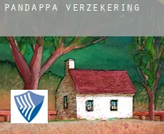 Pandappa  verzekering
