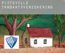 Pittsville  tandartsverzekering