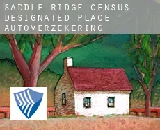 Saddle Ridge  autoverzekering