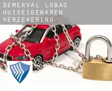 Demerval Lobão  huiseigenaren verzekering