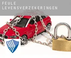 Feule  levensverzekeringen