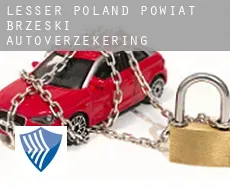 Powiat brzeski (Lesser Poland Voivodeship)  autoverzekering