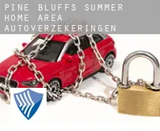 Pine Bluffs Summer Home Area  autoverzekeringen