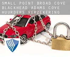 Small Point-Broad Cove-Blackhead-Adams Cove  huurders verzekering