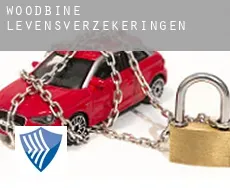 Woodbine  levensverzekeringen