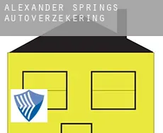 Alexander Springs  autoverzekering