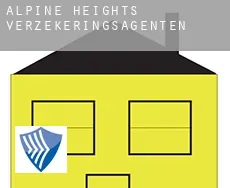 Alpine Heights  verzekeringsagenten