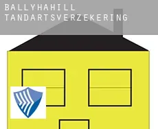 Ballyhahill  tandartsverzekering