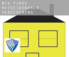 Big Pines  huiseigenaren verzekering