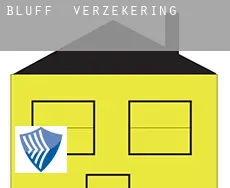Bluff  verzekering