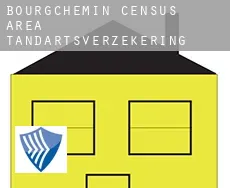 Bourgchemin (census area)  tandartsverzekering