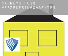 Carneys Point  verzekeringsagenten