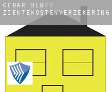 Cedar Bluff  ziektekostenverzekering