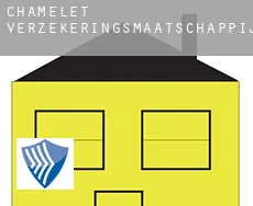 Chamelet  verzekeringsmaatschappij