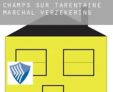 Champs-sur-Tarentaine-Marchal verzekering