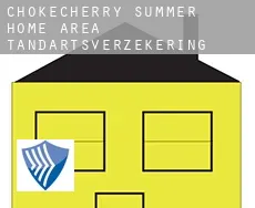 Chokecherry Summer Home Area  tandartsverzekering