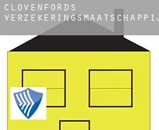 Clovenfords  verzekeringsmaatschappij