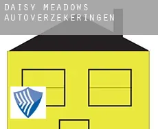 Daisy Meadows  autoverzekeringen